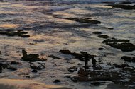 IMGP0923.JPG