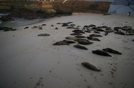 IMGP0945.JPG