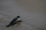 IMGP0952.JPG