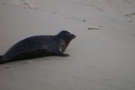 IMGP0958.JPG