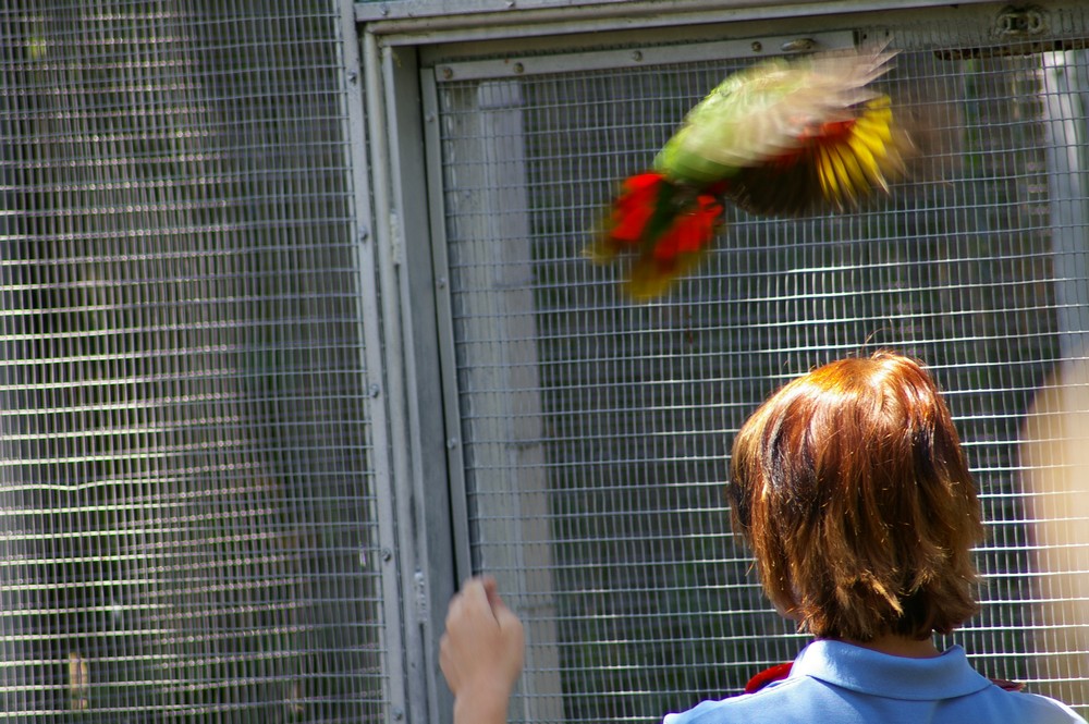 IMGP2671.JPG, 211 kB