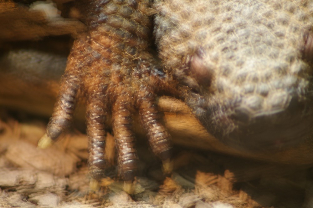 IMGP2714.JPG, 121 kB