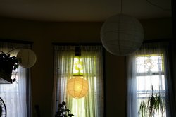 IMGP2567.JPG
