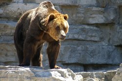 IMGP2629.JPG