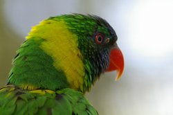 IMGP2667.JPG