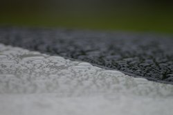 IMGP2741.JPG
