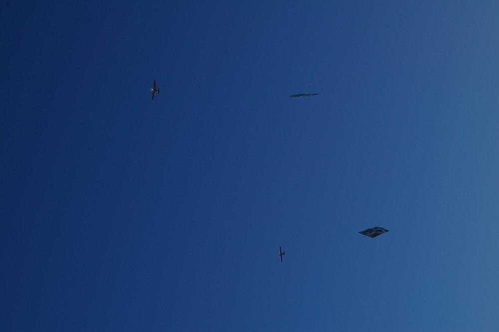 IMGP3701.JPG, 33 kB