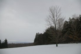 tn_IMGP4821.JPG