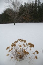 tn_IMGP4823.JPG