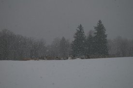 tn_IMGP4852.JPG