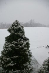tn_IMGP4865.JPG