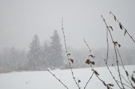 tn_IMGP4870.JPG