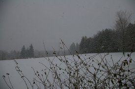 tn_IMGP4875.JPG