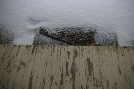 tn_IMGP4891.JPG