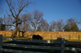 tn_IMGP4934.JPG