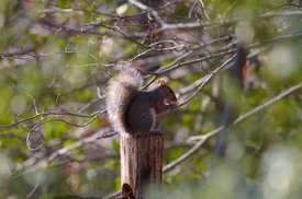 tn_IMGP4942.JPG
