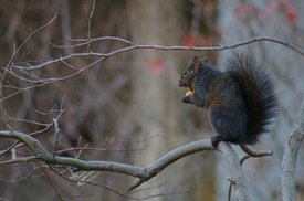 tn_IMGP5049.JPG