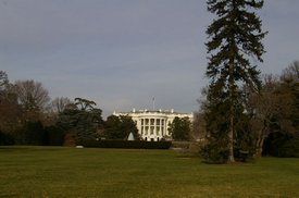 tn_IMGP5087.JPG