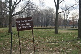 tn_IMGP5113.JPG