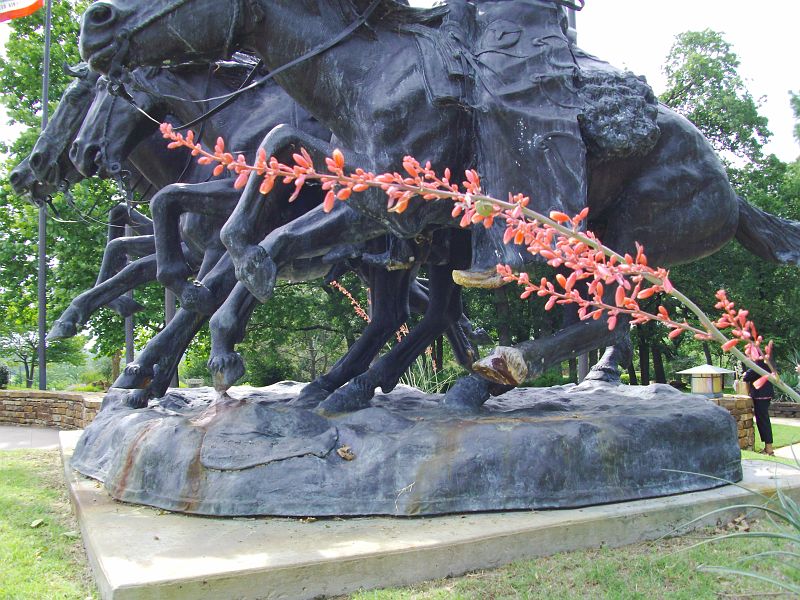PICT0021.JPG