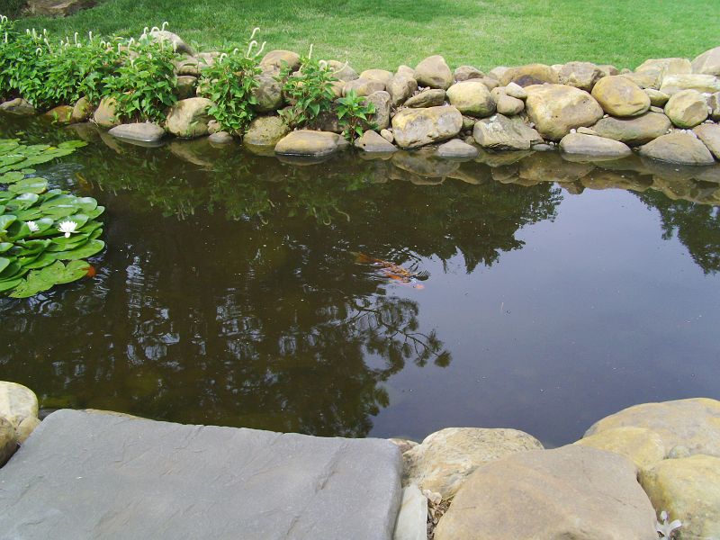 PICT0024.JPG