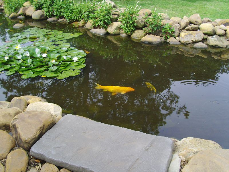 PICT0025.JPG