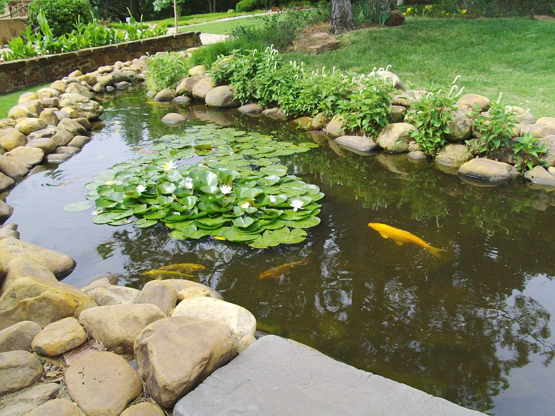 PICT0026.JPG