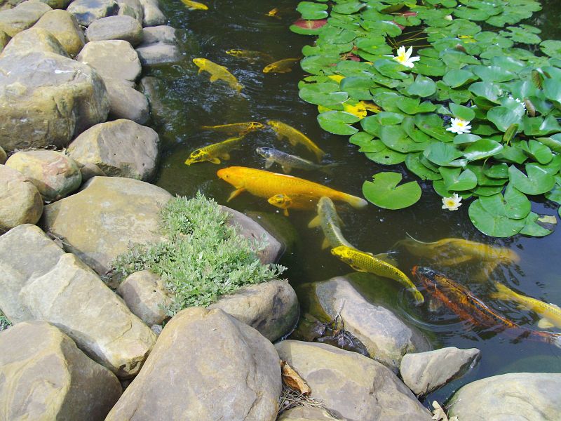 PICT0027.JPG