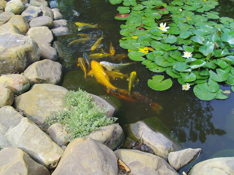 PICT0028.JPG