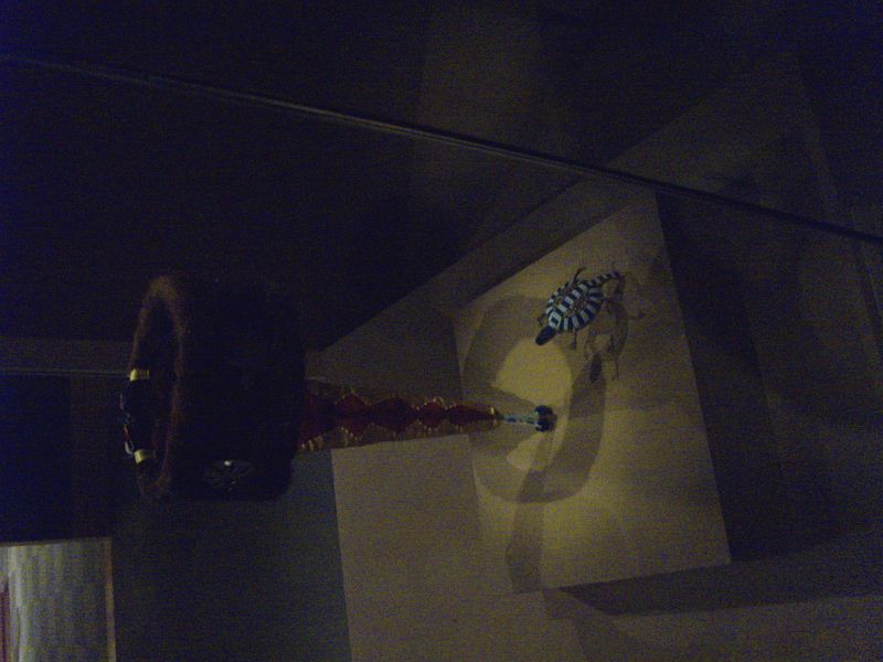 PICT0047.JPG