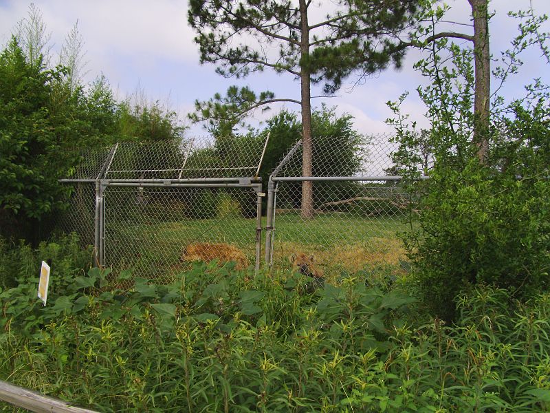 PICT0055.JPG