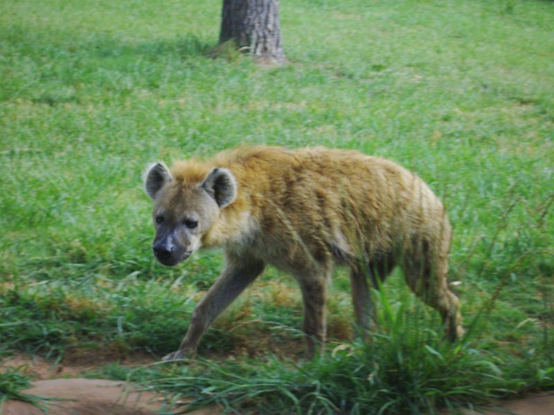 PICT0058.JPG