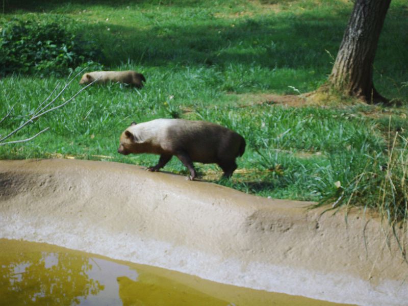 PICT0063.JPG