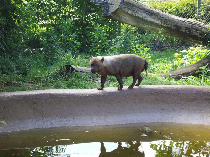 PICT0064.JPG