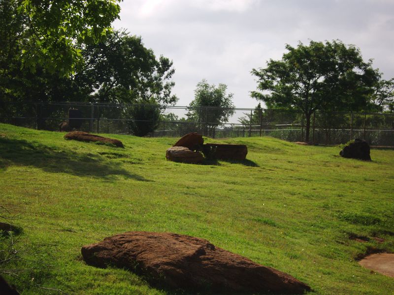 PICT0066.JPG