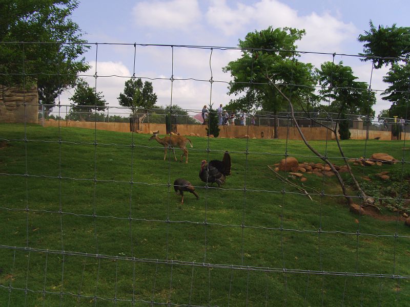 PICT0069.JPG