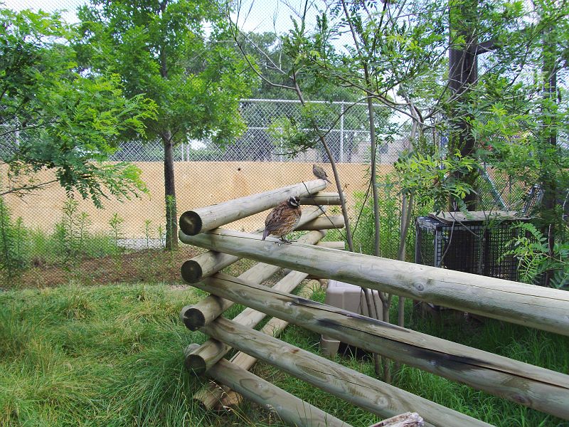 PICT0071.JPG