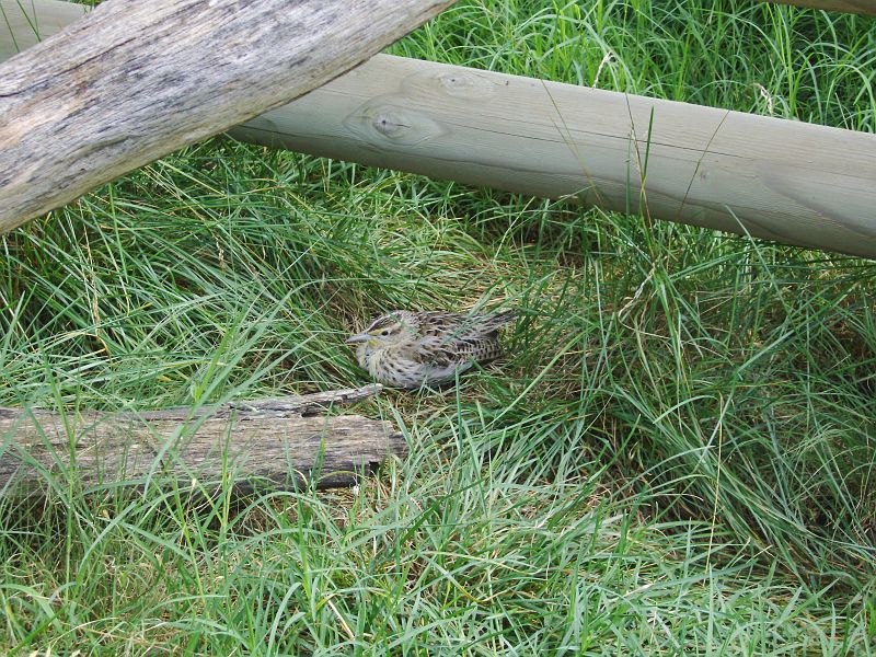 PICT0072.JPG