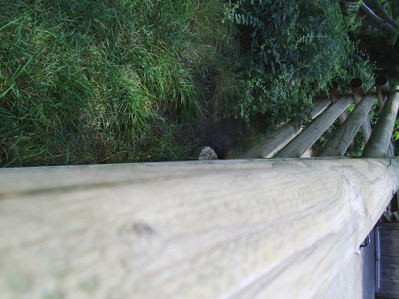 PICT0073.JPG