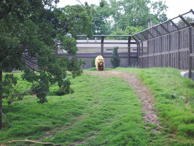 PICT0074.JPG