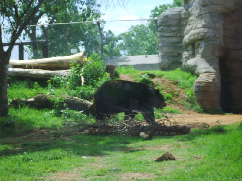 PICT0075.JPG