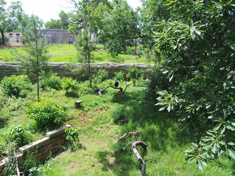PICT0076.JPG