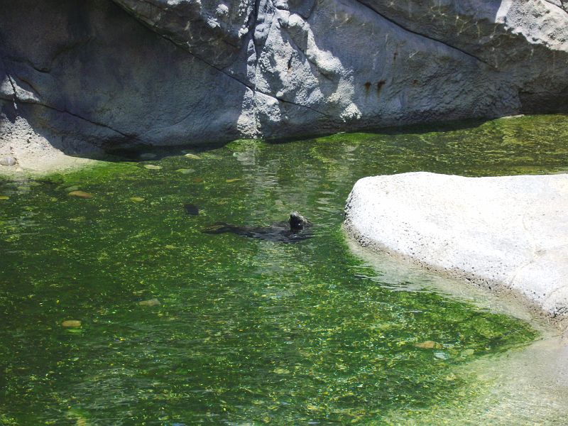 PICT0081.JPG