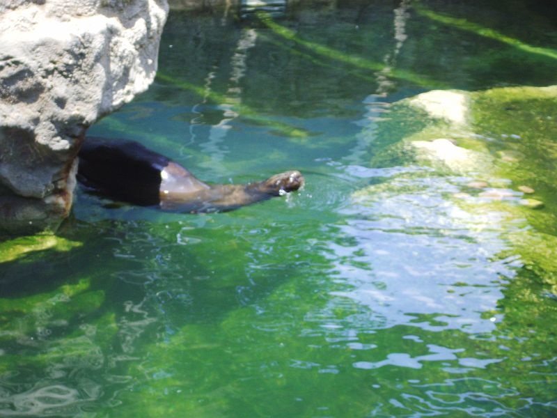 PICT0082.JPG