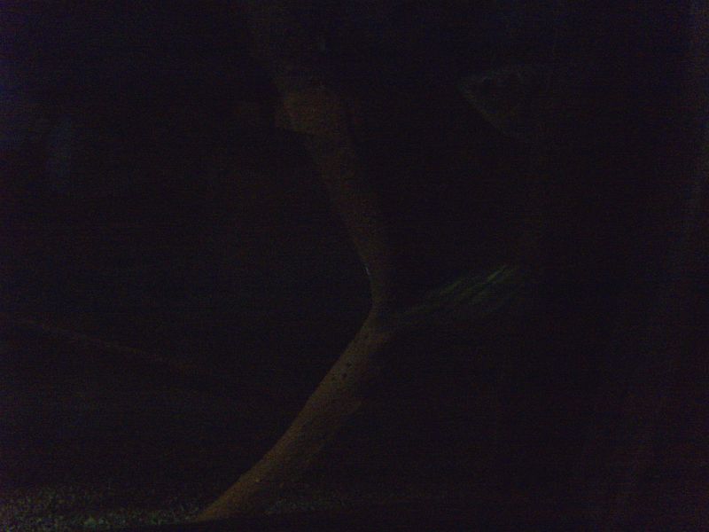PICT0083.JPG
