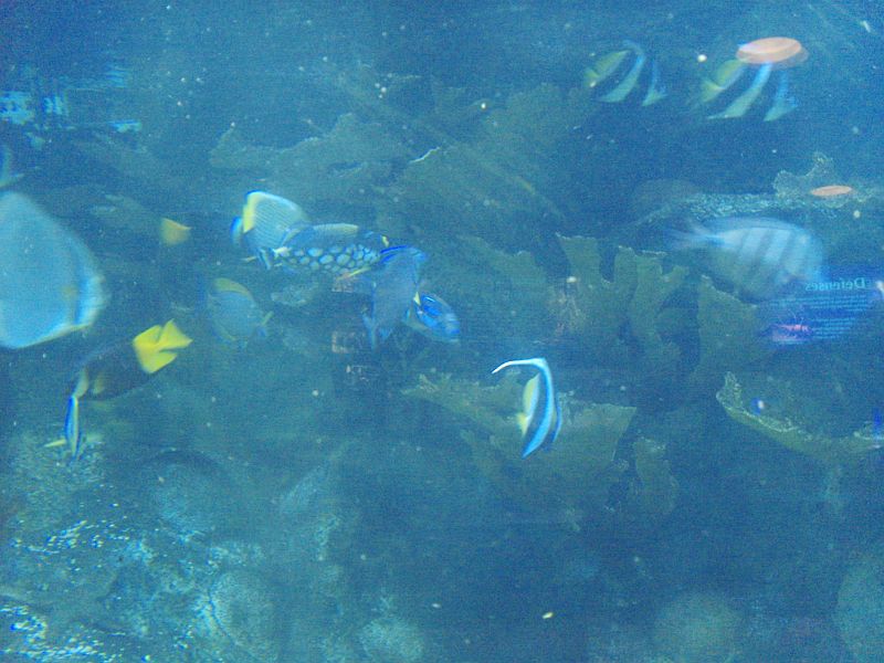 PICT0084.JPG