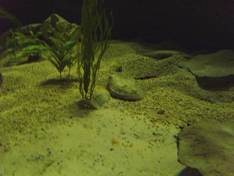 PICT0085.JPG
