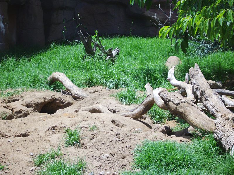 PICT0088.JPG