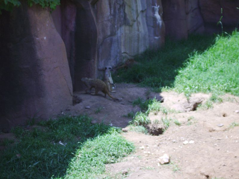 PICT0090.JPG