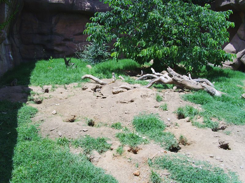 PICT0091.JPG